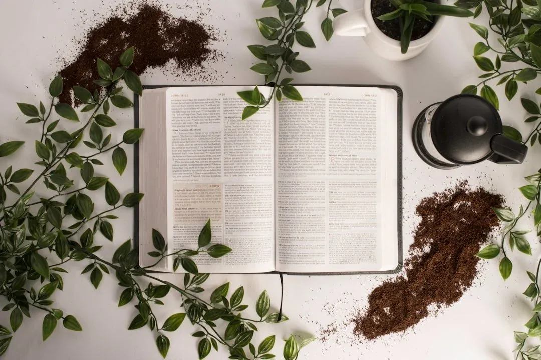 What Does the Bible Say About God's Love?