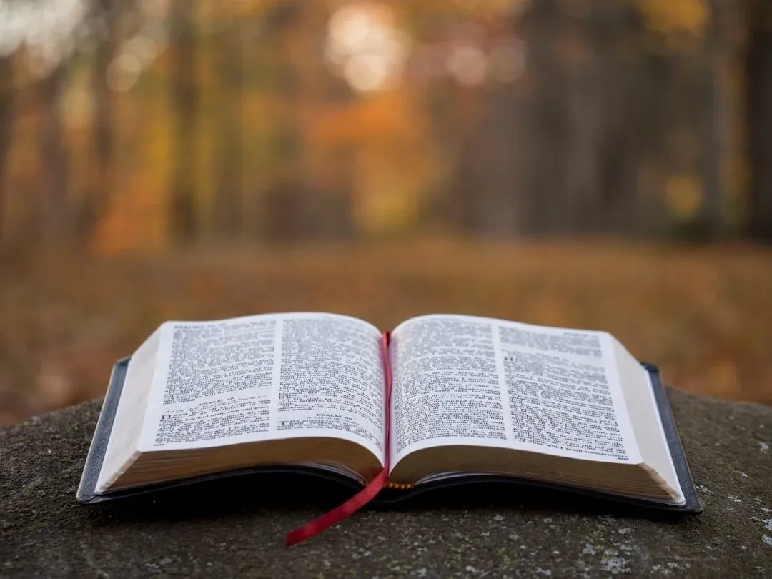 Biblical Patience: 20 Verses to Help You Wait on God