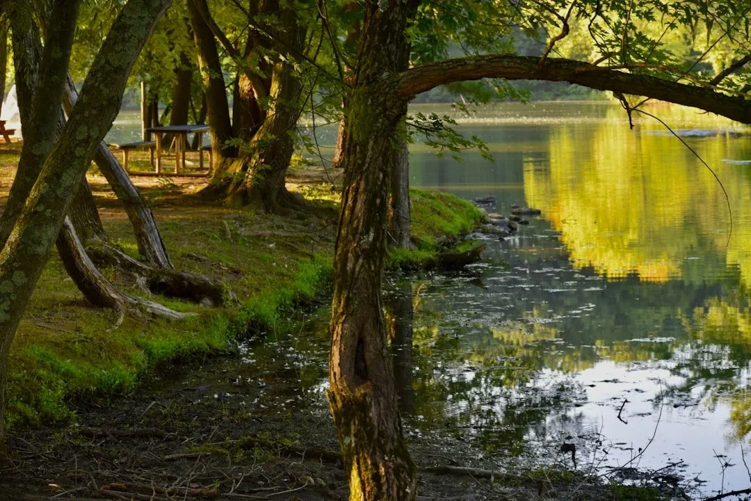 God's Promises: Your Weapon Against Fear and Anxiety