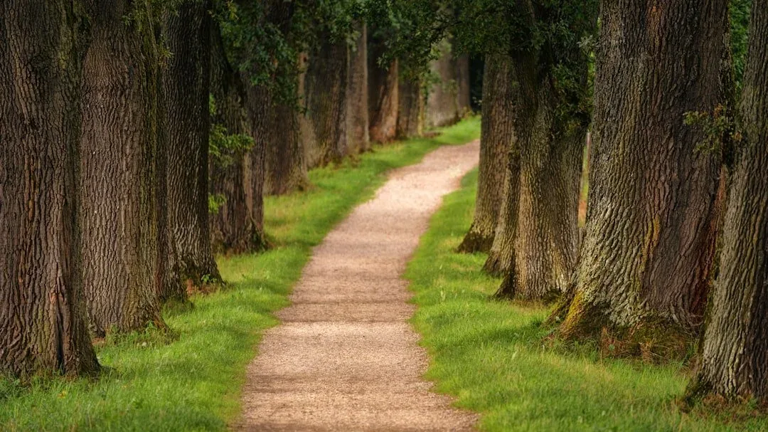 Forgive and Forget: A Deeper Look into Healing and Moving On