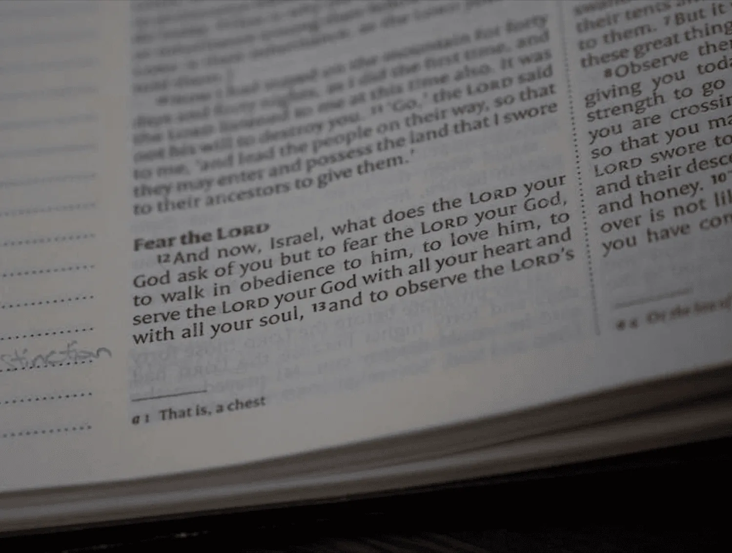 Bible Verses on Love and Patience