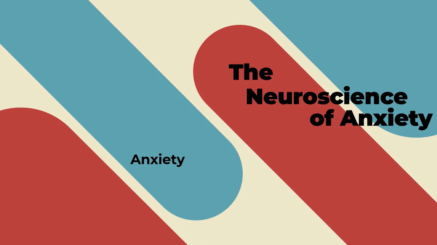The Neuroscience of Anxiety