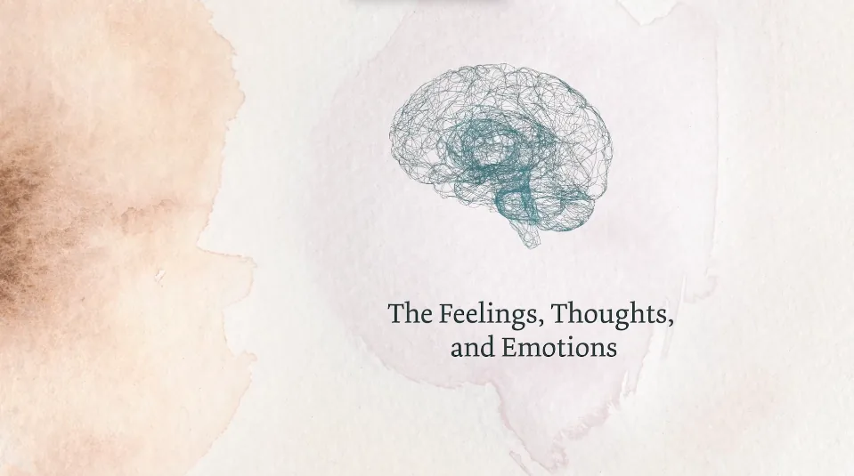 The Feelings, Thoughts, and Emotions