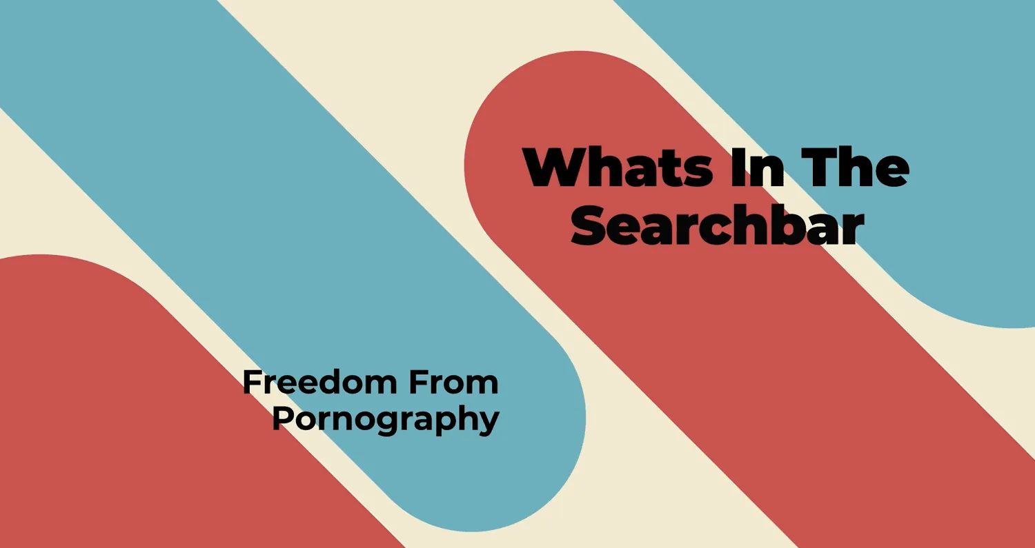 What’s in the Search Bar